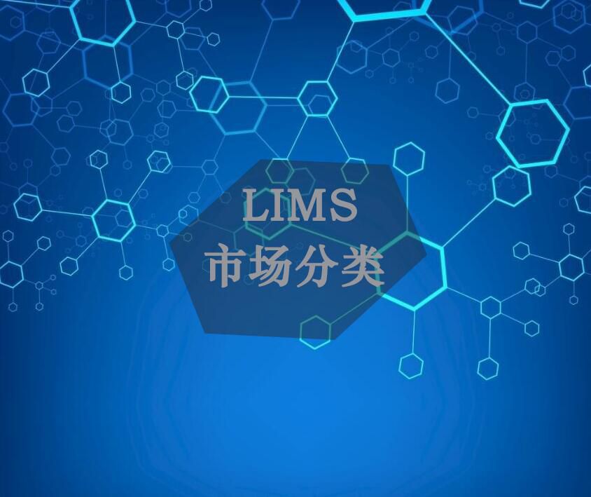 当前LIMS系统市场对LIMS系统的划分